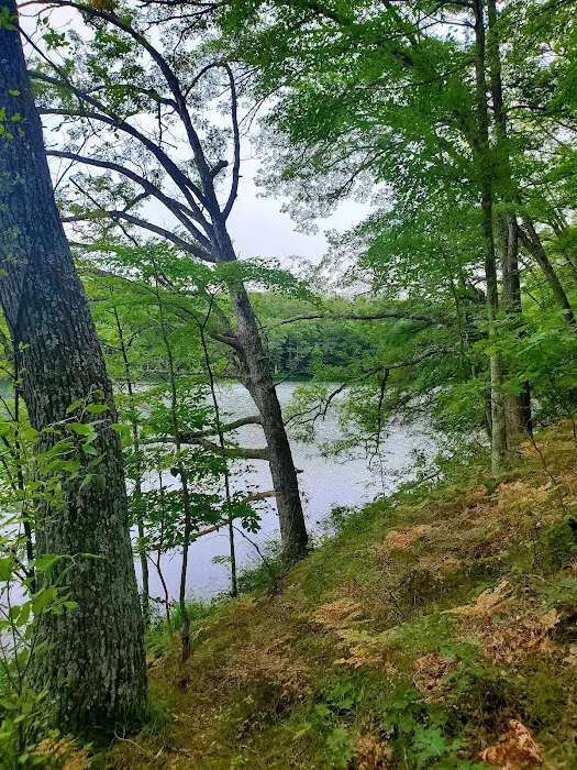 Condon Lakes West 10