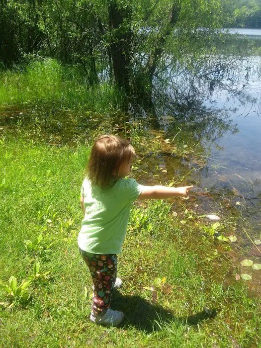 Highbank Lake Campground 1