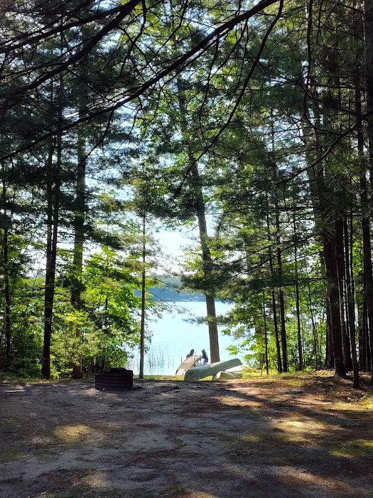 Pickerel Lakeside Campground 5