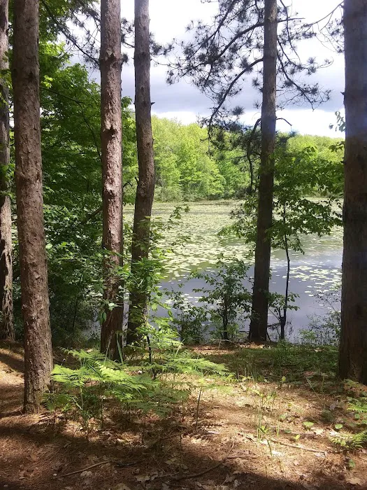 Haymarsh State Game Area Campground 9