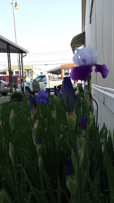 PK Mobile Home Park 2