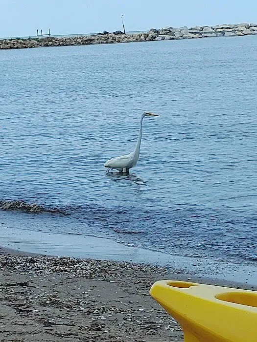 Sunset Shore Campground 8
