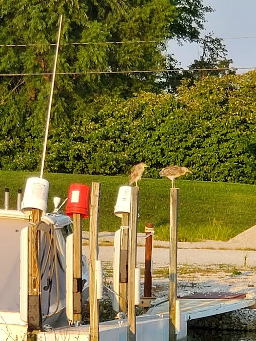 Wild Wings Marina & RV Park 1