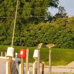 Wild Wings Marina & RV Park