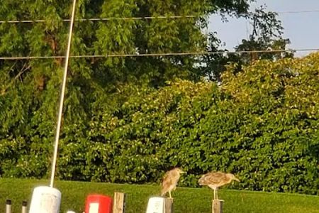 Wild Wings Marina & RV Park