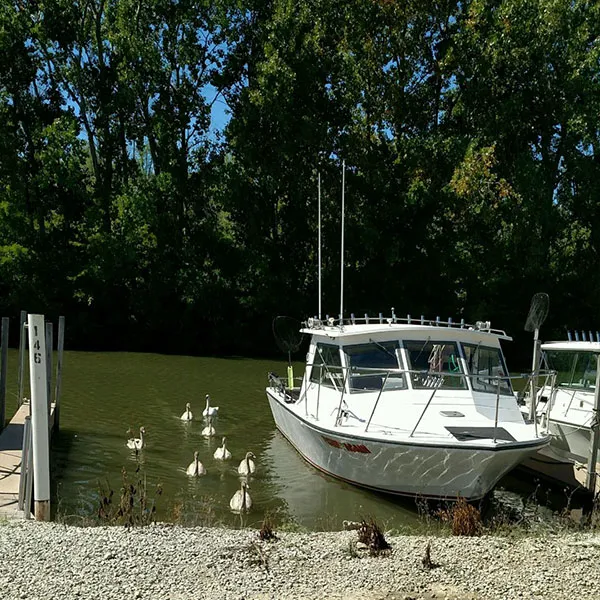 Wild Wings Campground & Marina 6