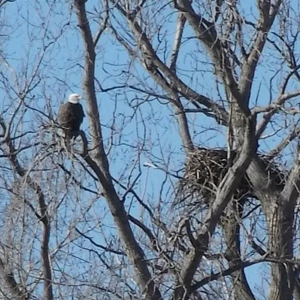 Wild Wings Campground & Marina 8