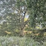 Sleepy Hollow RV Park