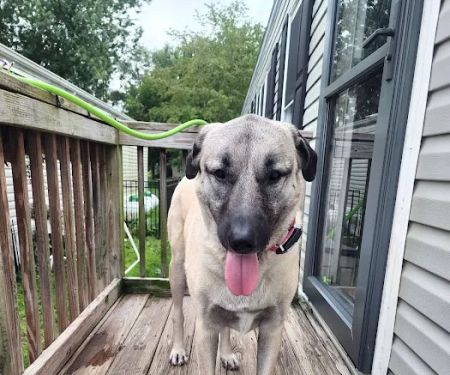 Rainbow Mobile Home Park