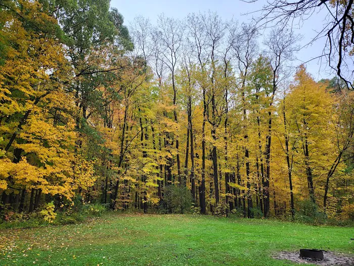 Mt. Gilead State Park Campground 5