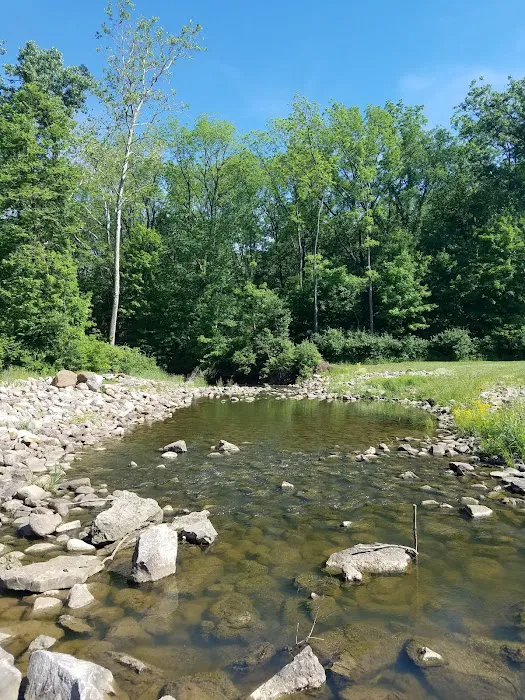 Mt. Gilead State Park Campground 7