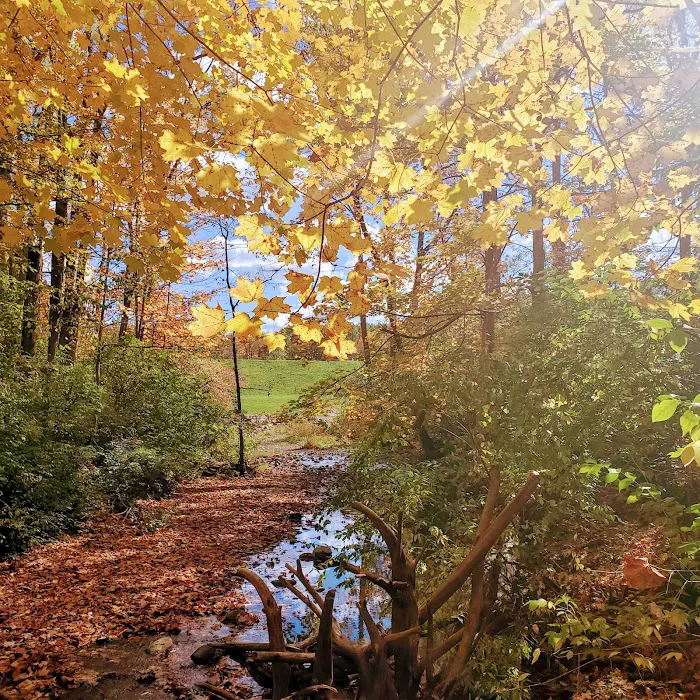 Mt. Gilead State Park Campground 10