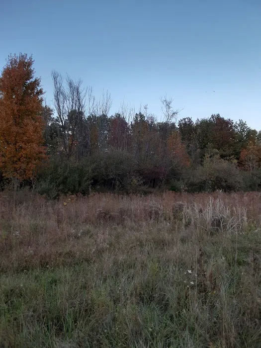 Wooded Estates 4