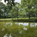 Coble Village Mobile Home Park