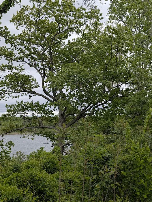 Proud Lake Rec Area - Modern Campground 6