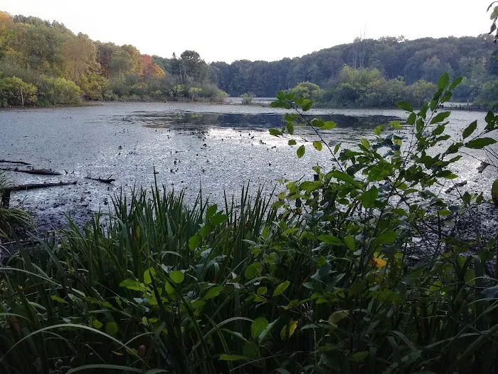 Holly McGinnis Lake Campground 7