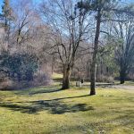 Holly Recreation Area Organizational Campground