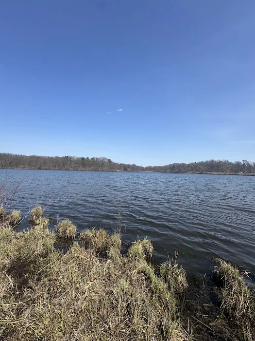 Holly Recreation Area Organizational Campground 2
