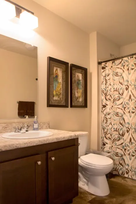 Springrove 7