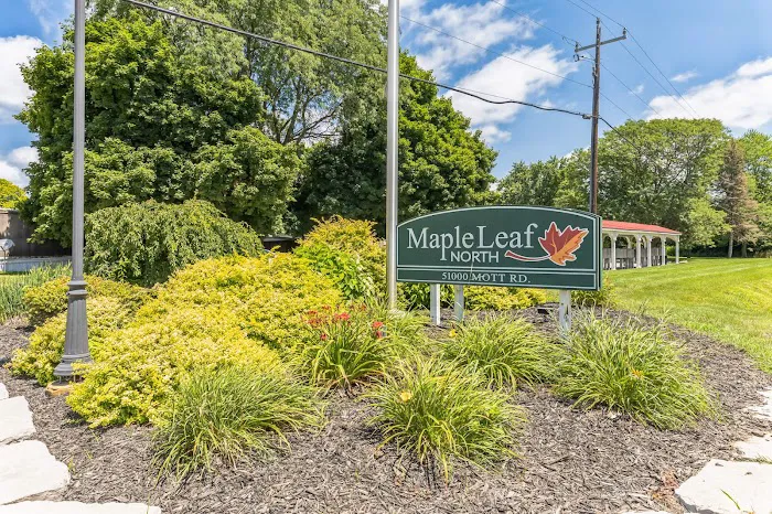 Maple Leaf North 10