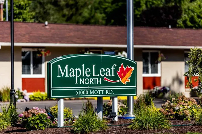 Maple Leaf North 1