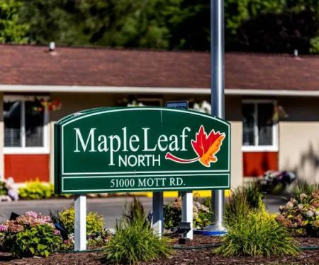 Maple Leaf North