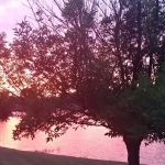 Haas Lake