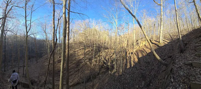 Jefferson Memorial Forest- Horine Campgrounds 4
