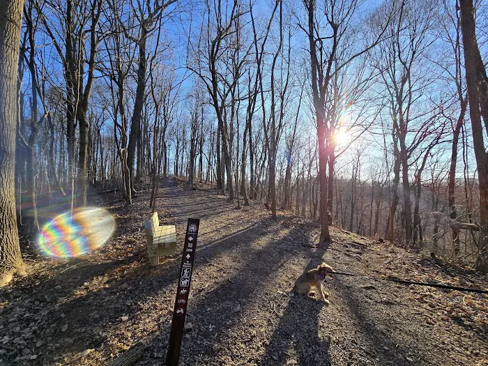 Jefferson Memorial Forest- Horine Campgrounds 7