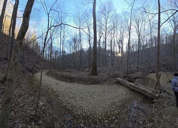 Jefferson Memorial Forest- Horine Campgrounds 10
