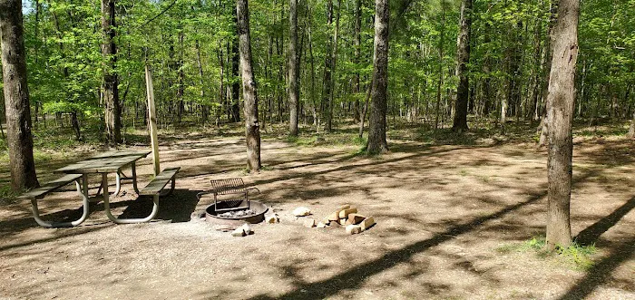 Jefferson Memorial Forest- Horine Campgrounds 6