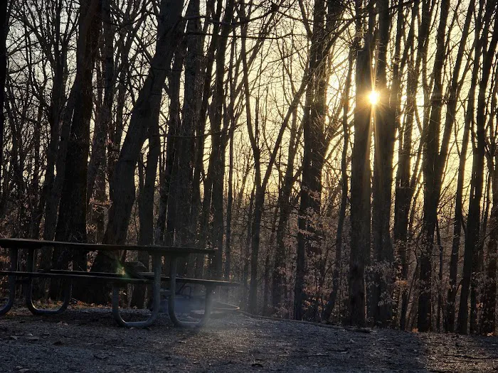 Jefferson Memorial Forest- Horine Campgrounds 9