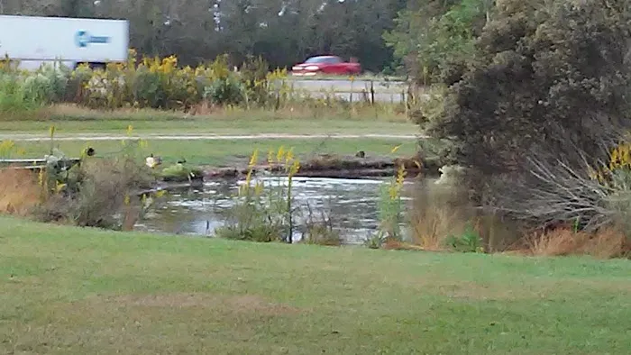 Whispering Oaks Mobile Home Park 4