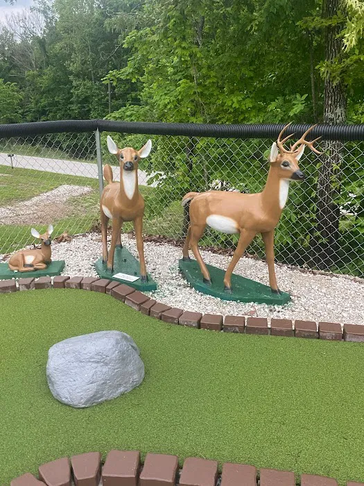 Quest RV Park 8