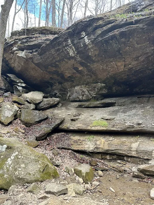 Nolin State Park Campground 8