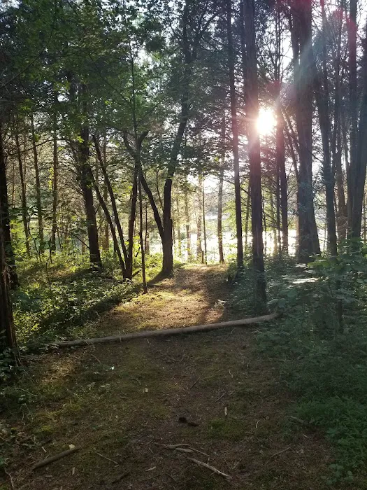 Dog Creek Campground 10