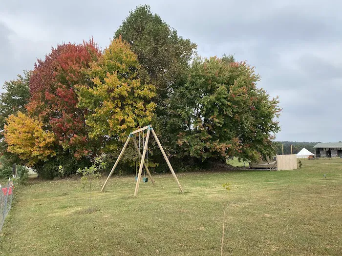 Noble Pine Cabins, Glamping, & Horse Camp 2