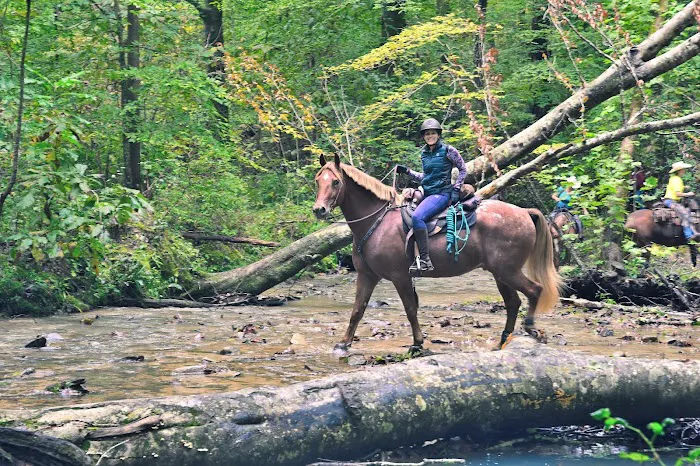 Mammoth Cave Horse Camp 2