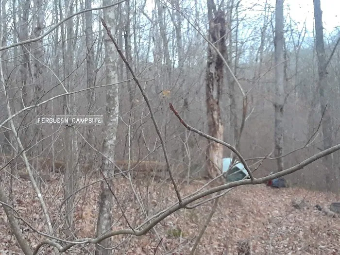 Ferguson Campground 1