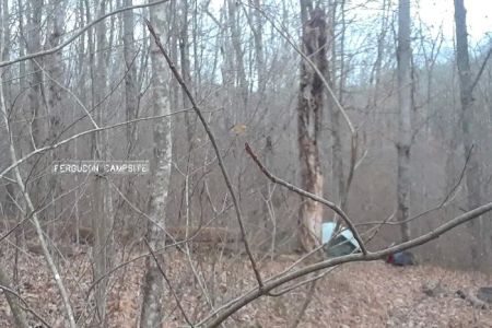 Ferguson Campground