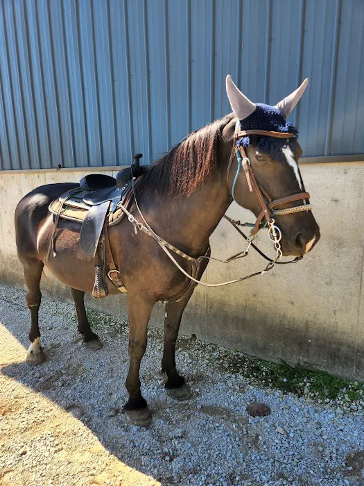 Double J Stables and Campgrounds 5