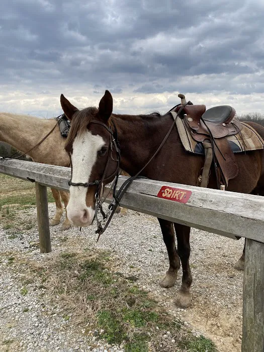 Double J Stables and Campgrounds 6