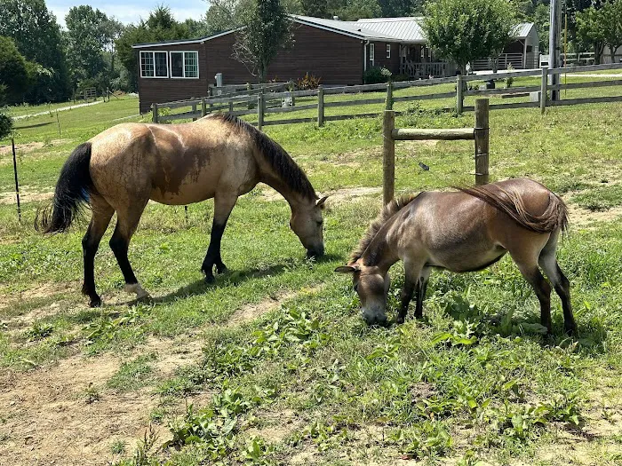 Double J Stables and Campgrounds 8