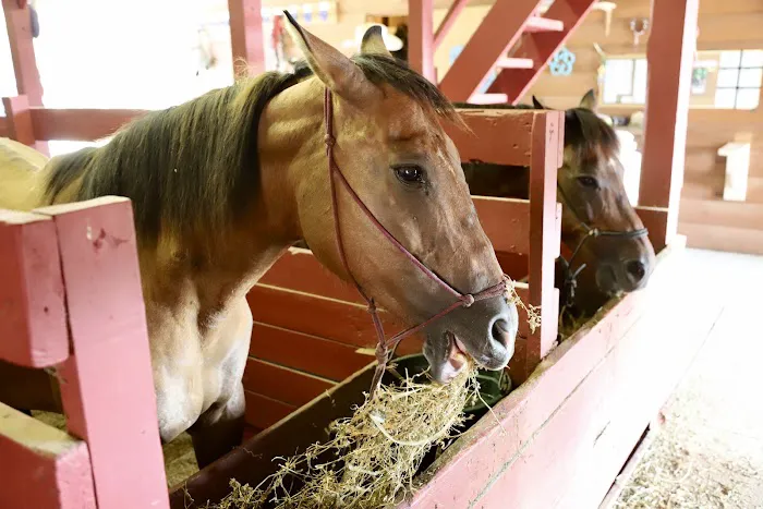 Double J Stables and Campgrounds 9