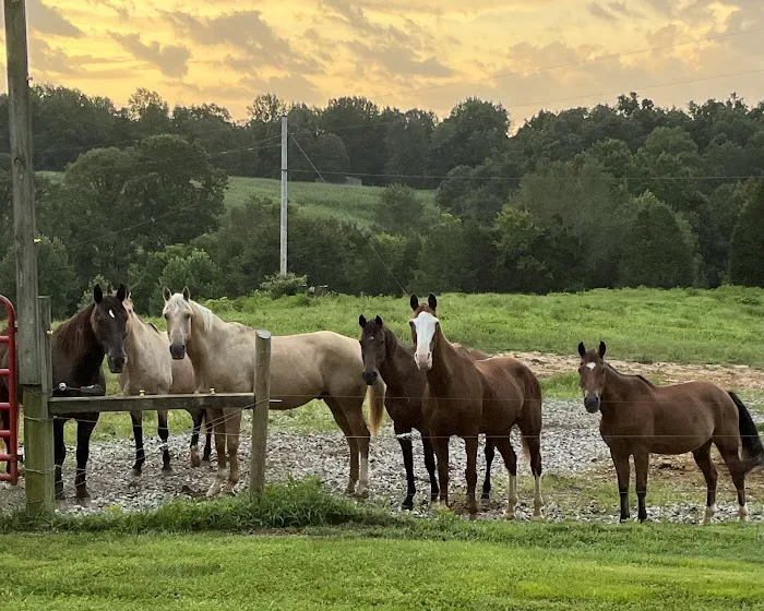 Double J Stables and Campgrounds 7