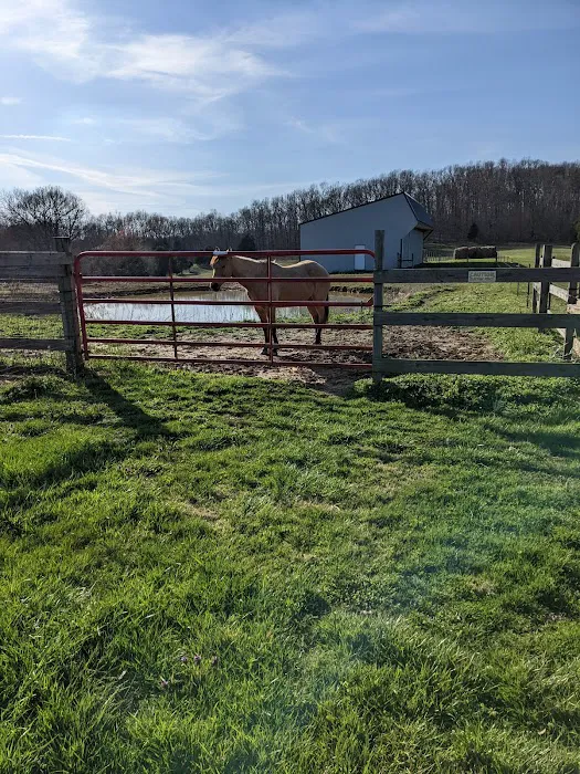 Double J Stables and Campgrounds 1