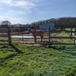 Double J Stables and Campgrounds