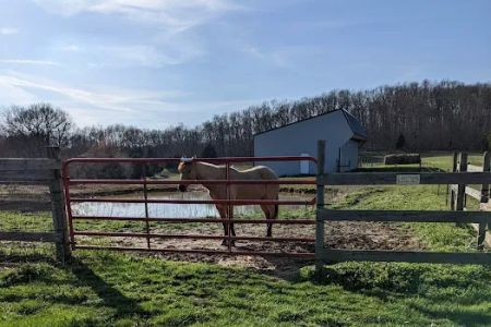 Double J Stables and Campgrounds