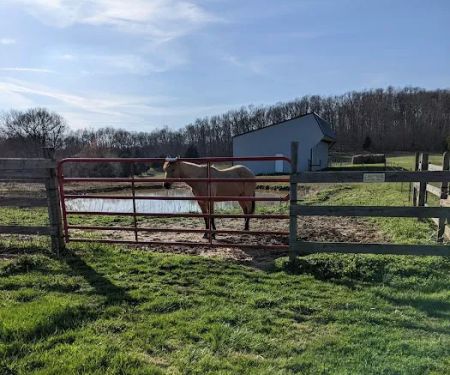 Double J Stables and Campgrounds