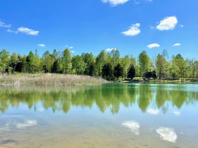Huggins Haven RV Campground 8